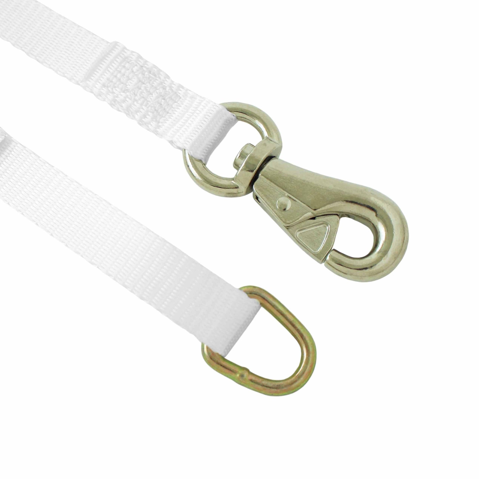 Boxer Tent Cam Buckle Tie Down with D Ring and Tent Snap Hook (1